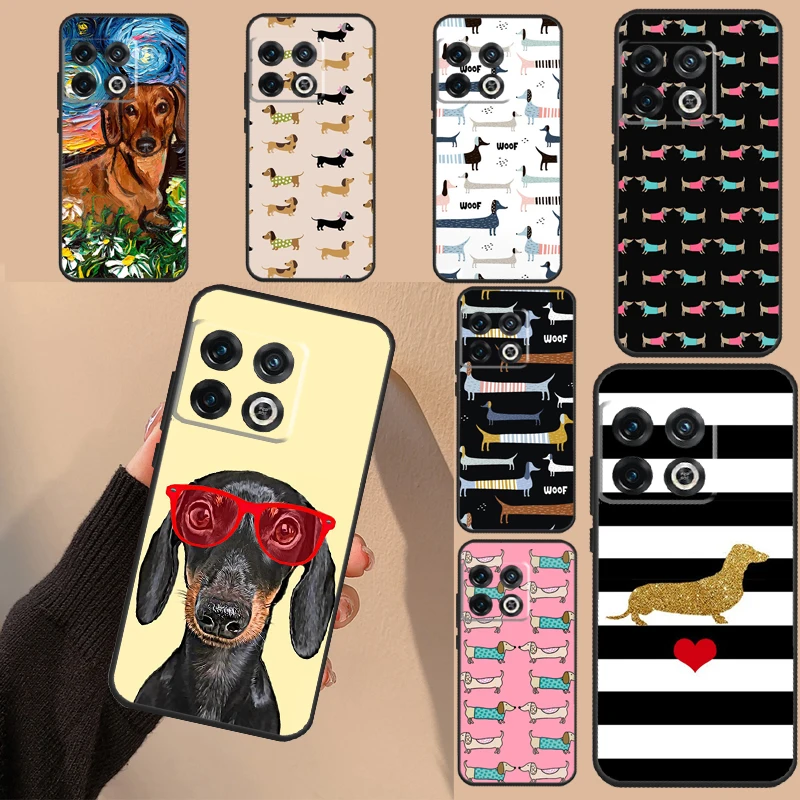 Cute Dachshund Dog … - image