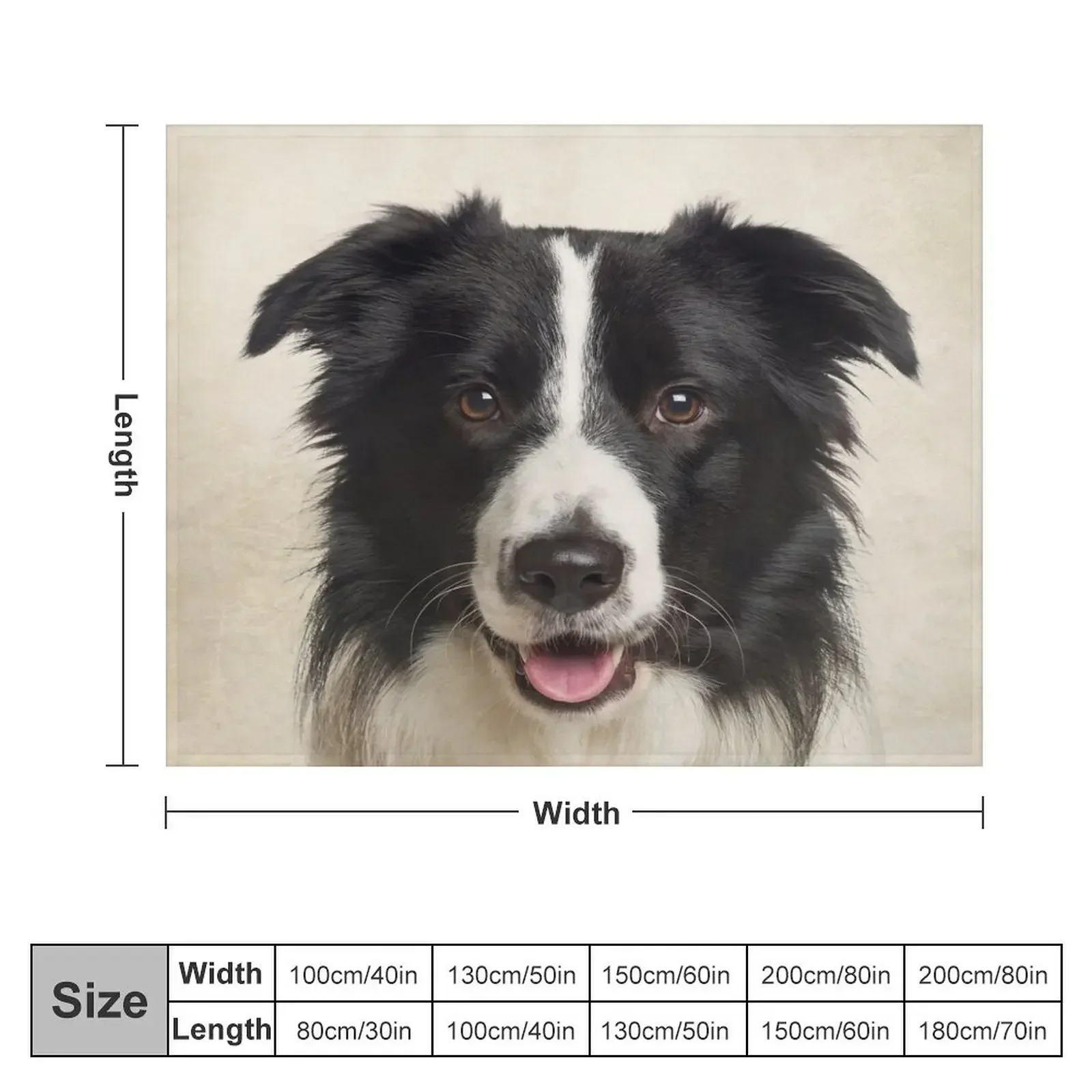 Border Collie Art, Domestic Dog, Animal Portrait Throw Blanket Luxury St Cute Blankets