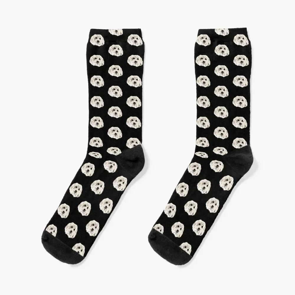 Teddy the Havanese Socks anti-slip tennis Socks Female Men's