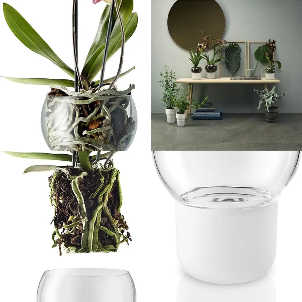 

Самополивный горшок для орхидей - диаметр 15 см | Датский дизайн | Матовое стекло | Сохраняет влагу комнатных растений, цветов, трав.