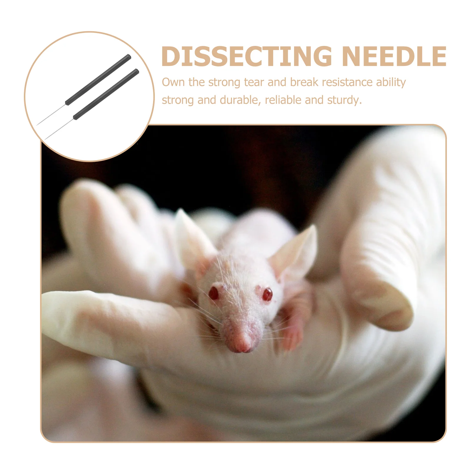 2Pcs Dissection Needle Plastic Handle Stainless Steel Lightweight Compact Multipurpose Biology Teaching Tool For School Students