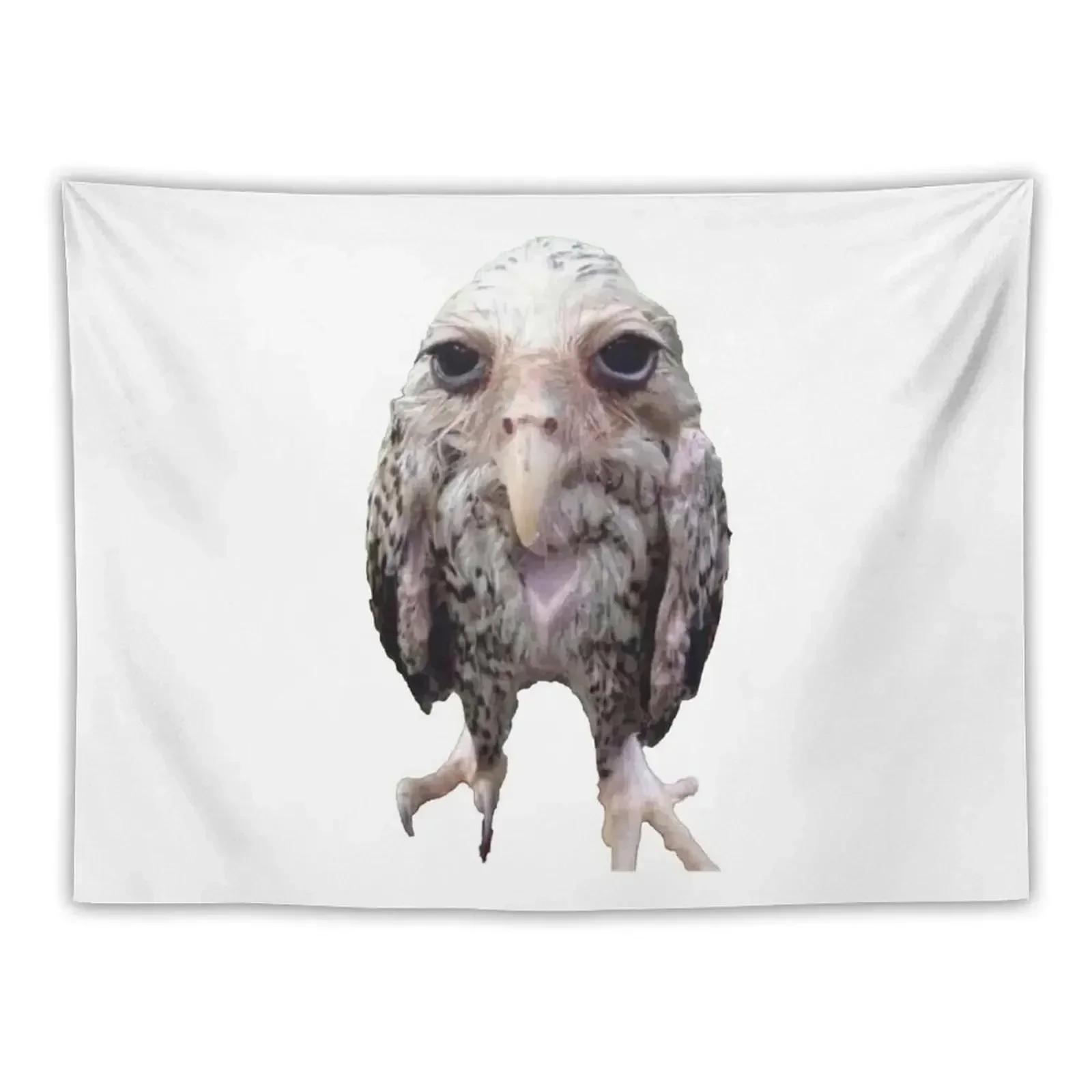 

Wet Owl Meme Tapestry Bedrooms Decorations Cute Room Things Decoration Wall Wallpaper Tapestry