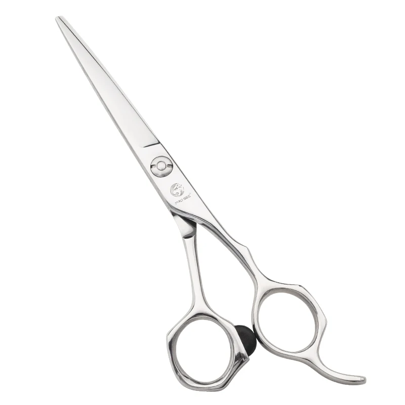 Professional VG10 Stainless Steel Hair Scissors Right Hand Hair Care Scissors from Direct Factory