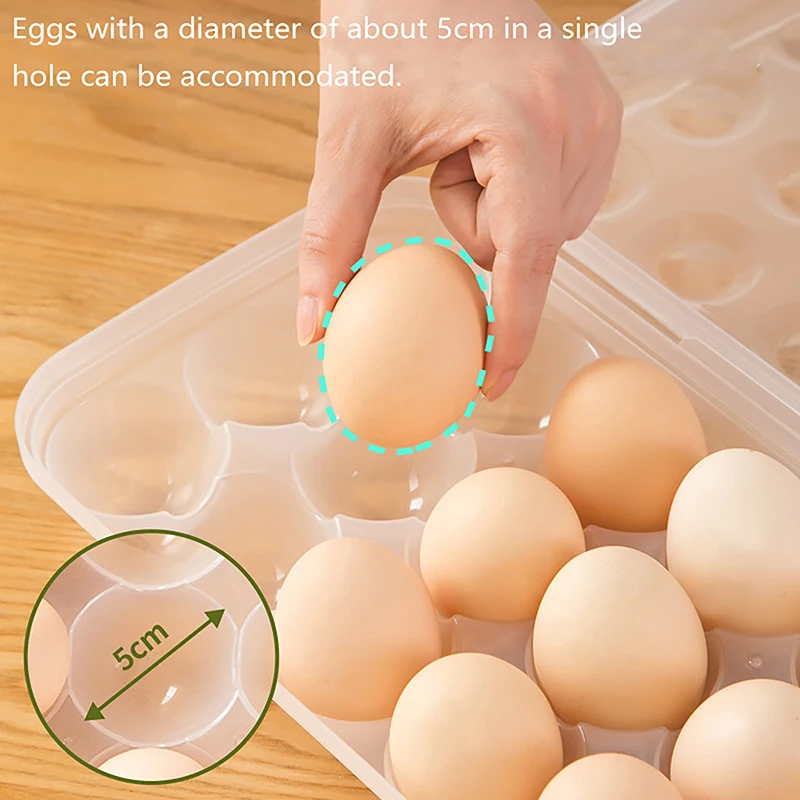 

Egg holder Plastic egg storage box Egg Organizer Refrigerator Portable egg tray Cover refrigerator Camping hike outdoor