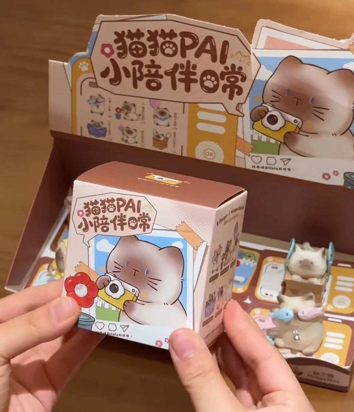 

New Thingswoo Cat Pai Little Daily Companion Serise Blind Box Trendy Kawaii Pvc Collection Home Decor Toys Birhday Xmas Gift