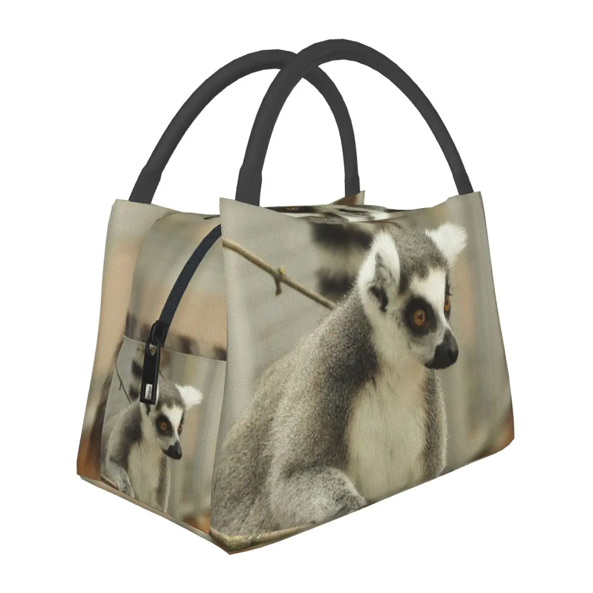 Ring Tailed Lemur Lunch Bags Insulated Bento Box Portable Lunch Tote Picnic Bags Cooler Thermal Bag for Woman Kids School