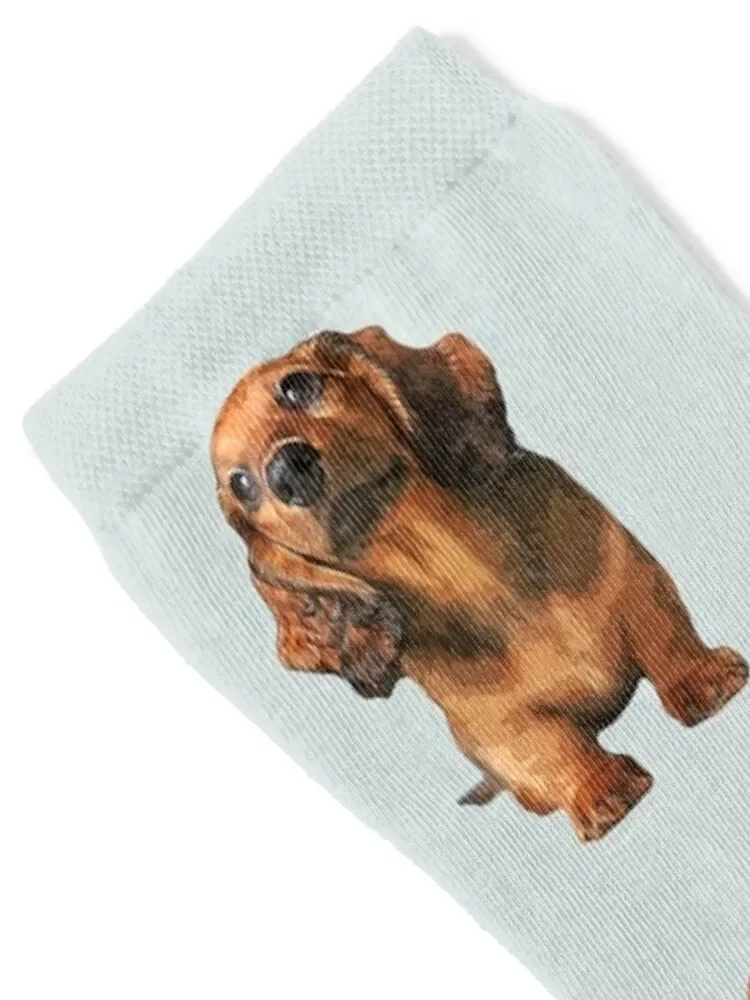 Mini Dachshund Long Haired Shaded Red Puppy Dog Socks Sports crazy Man Socks Women's