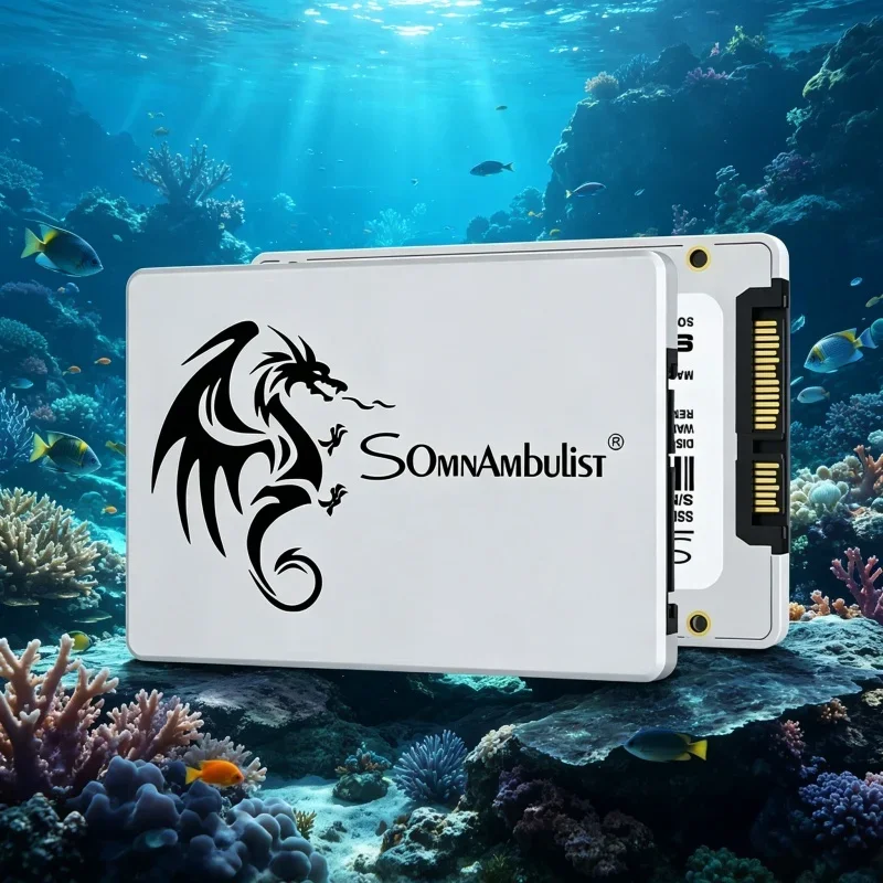 

Exquisite SomnAmbulist 2.5 Inch SATA3 SSD 64GB 120GB 128GB 240GB 256GB 480GB 512GB Swift Solid State Drive For Laptop Desktop PC