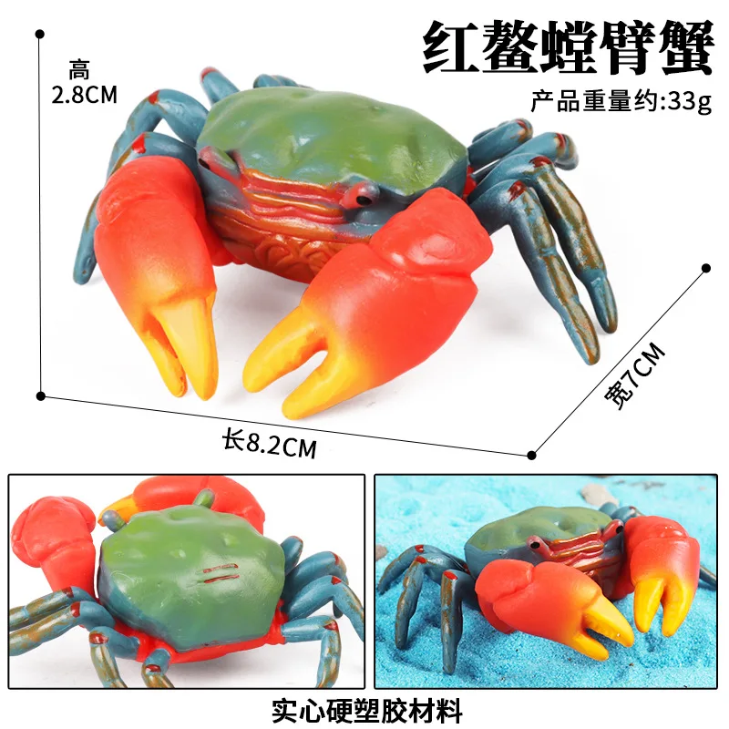 Children cognitive simulation Marine animal model toy Crab red pincers hand crab red turtle mantis arm crab cognitive toy