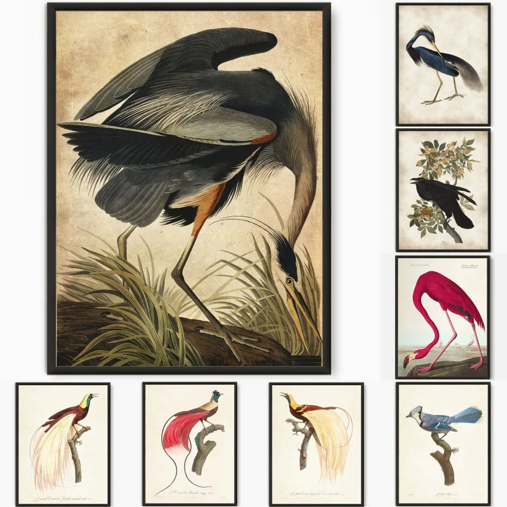 Affiche vintage sur la faune animale, héron, corbeau, flamant rose, oiseau, jais bleu, oiseau du paradis, impression sur toile, décoration murale rétro pour salon