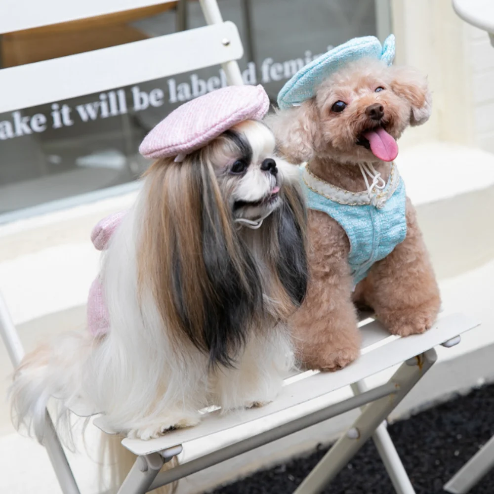 Autumn Winter Dog Fur Dress Pet Clothes Luxury Dress Plush Cat Dog Clothes Dog Beret Dog Dresses for Small Dogs Puppy Clothes