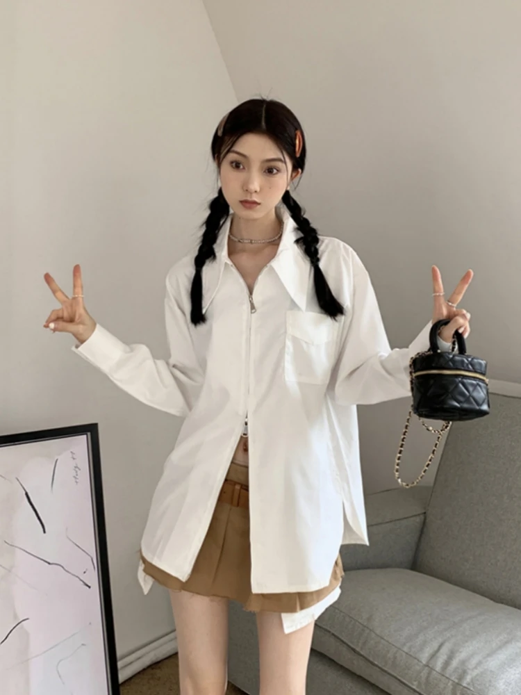 Blauer Reißverschluss Long Sve irt Damen Design Sensation Frühling Herbst Baumwolle Straight Cut Japanische SLE-Kragen-Bluse