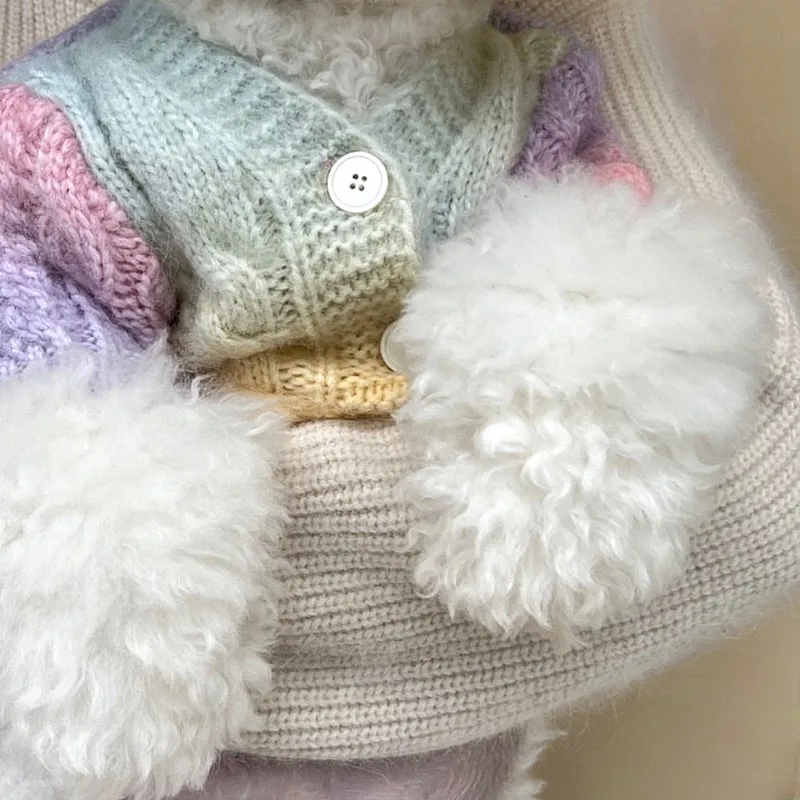 Fashion Colorful Pet Knitted Sweater Autumn Teddy Warm Clothes Puppy Button Shirt Yorkshire Two Legs Clothes Soft Dog Clothes