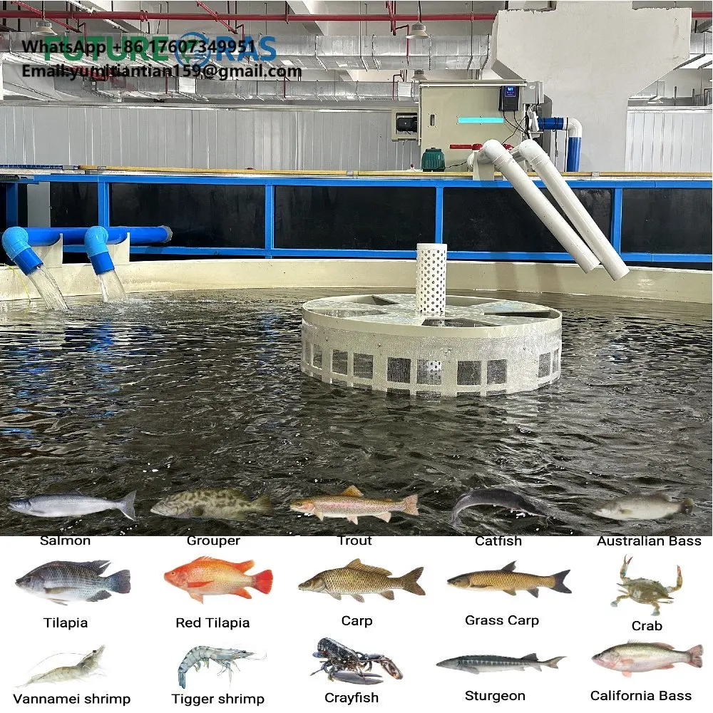 Ai Based Full Automatic Aquaculture System Smart Ras Filter Fish Shrimp Farming Complete Salmon Setup Salt Water