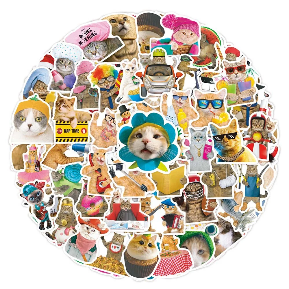 

50PCS Funny Kawaii Meme Cute Cat Kitty Stickers For Phone Laptop Luggage Helmet Decal