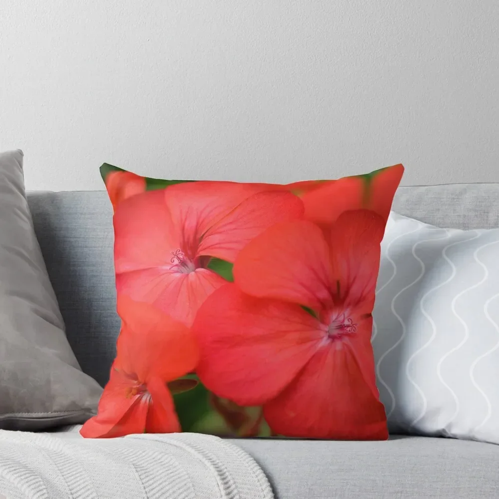 red geranium flowers close up Throw Pillow Decorative Cushions Pillow Case Luxury Cushion Cover Decorative Cushion pillow