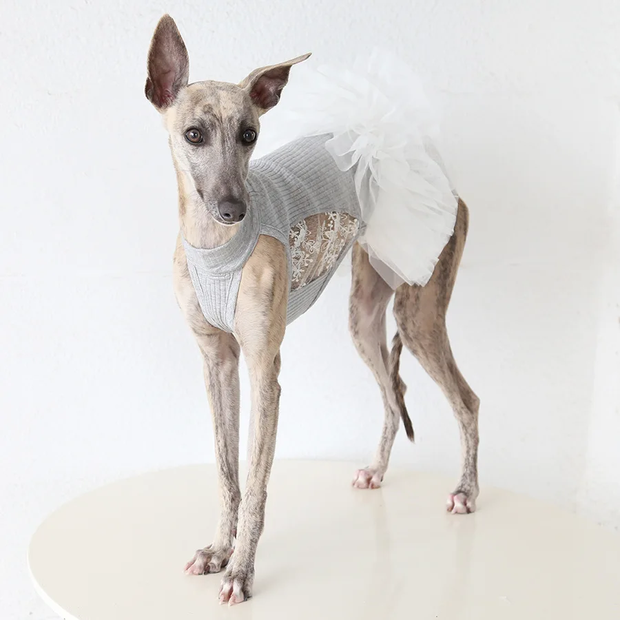 

Moonlight Waltz Pet Puff Sleeve Dress - Spring Summer Dog Clothes Princess Dress Italian Petite Lille Habbitte Pet Dog Dress