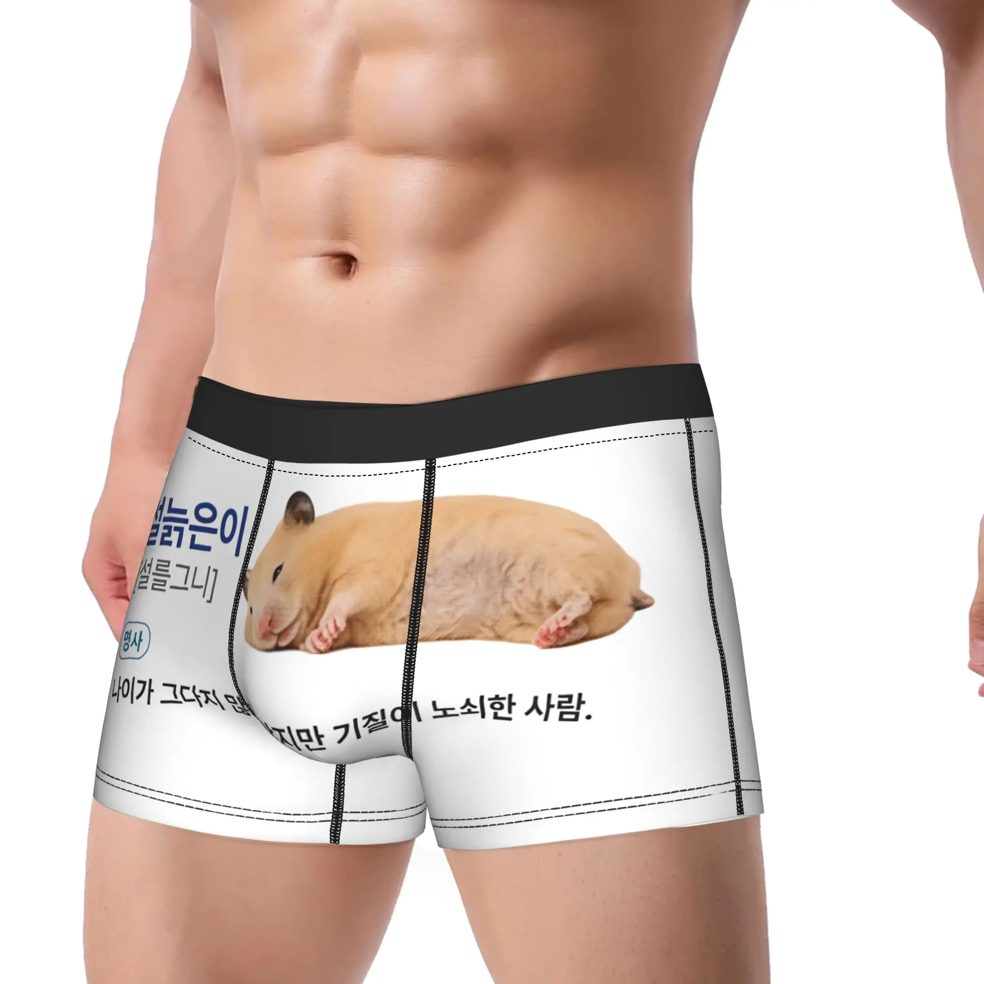 Lazy Fluffy Hamster Korean Text Meme Underwear  Male Boxer Brief Sexy Soft Boxer Shorts High Quality Printing Plus Size Panties