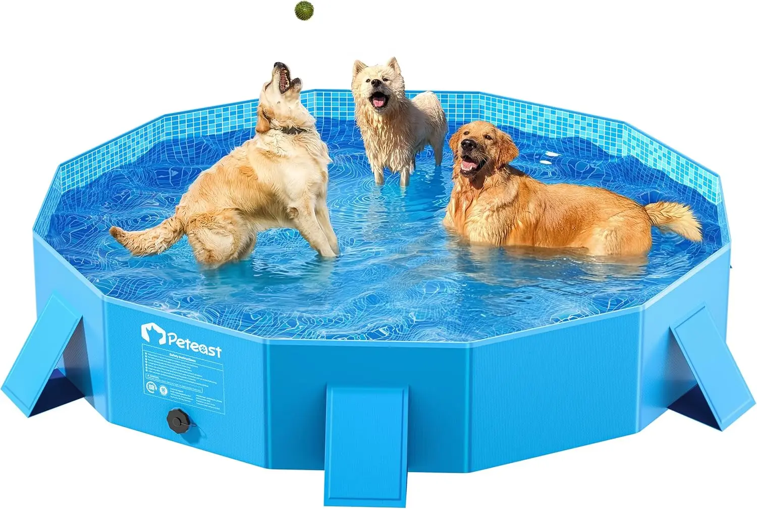 Foldable Dog Kiddie Pool with Stable Side Support, Hard Plastic Shell Portable Dog Pool, Collapsible Swimming Pools for Pet and Kids, 64 in
