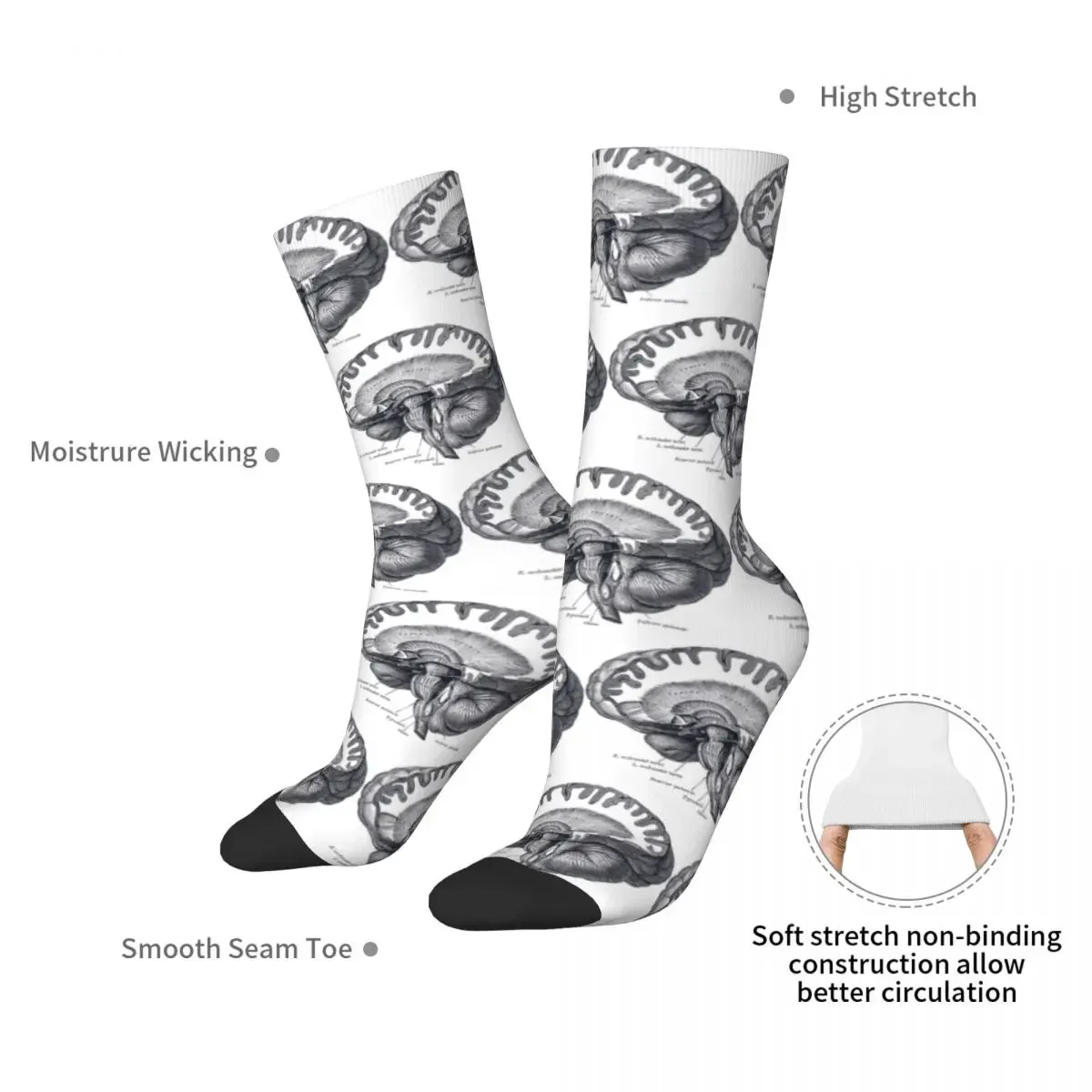 Gehirn Anatomie Socken Harajuku super weiche Strümpfe ganzjährig lange Socken Zubehör für Unisex Geburtstags geschenk