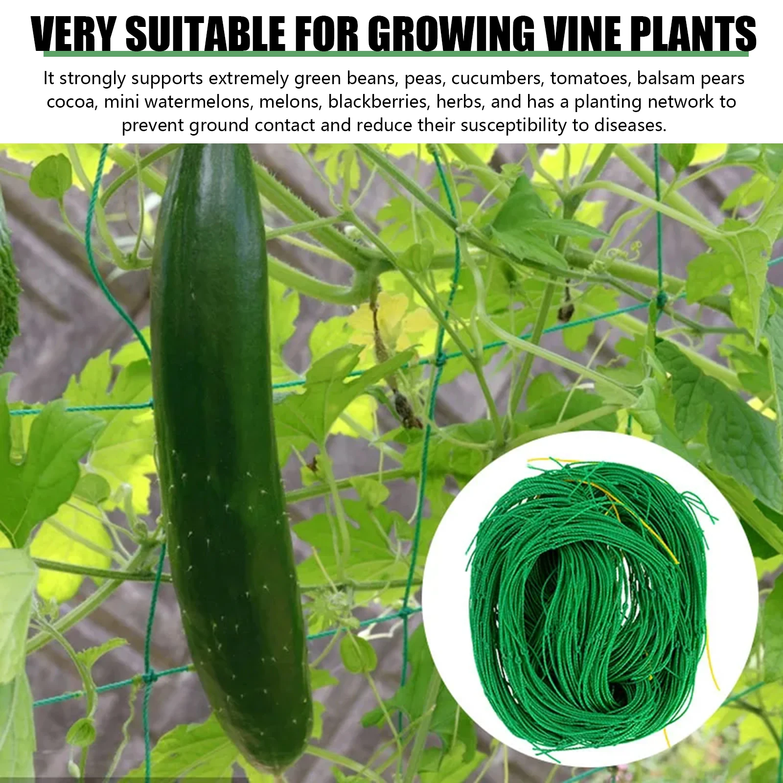 Rete per piante rampicanti in plastica Rete per orchidee Supporto per vite Rete a griglia verde per piante rampicanti Frutta Verdura Viti
