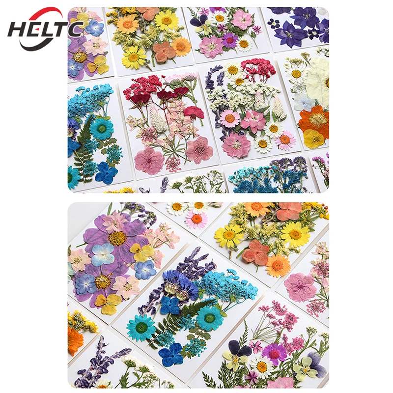 Dried Flowers Real Natural Plant Pressed Flower For Epoxy Resin Filling DIY Nail Art Handicrafts Jewelry Making Craft