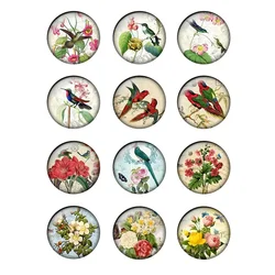 12pcs/lot Beauty Vintage Flowers Rose Birds Pattern Glass Cabochons 10mm To 25mm Glass Dome DIY Jewelry Making Findings T145