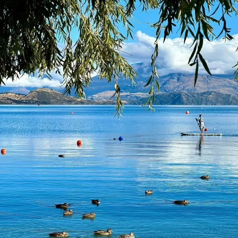 

Цифровой сервопривод JX Servo PDI-HV2070MG — крутящий момент 70 кг, высокое напряжение, металлическая шестерня, без сердечника, для радиоуправляемых автомобилей 1/5