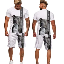 YUHA-Conjunto de chándal con estampado 3D de Pitbull para hombre, camiseta divertida, pantalones cortos, camisetas gráficas, pantalones cortos, Verano