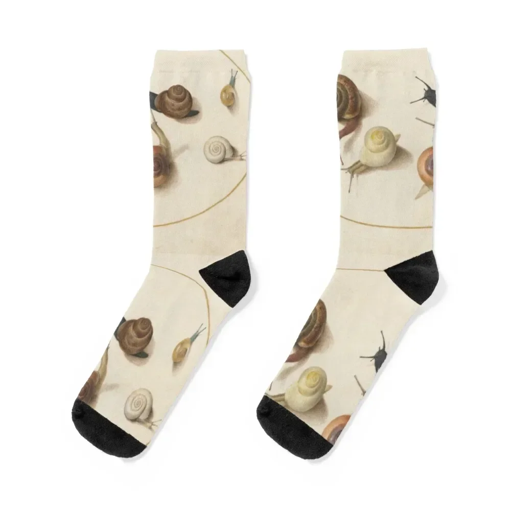 Snail Circle Socks winter thermal Novelties new year Socks Women Men's