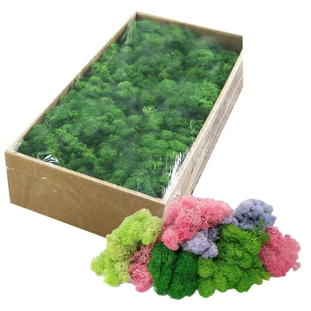 Artificial Green Plants Eternal Life Moss Grass Home Living Room Garden Decoration Mini Landscape Fake Grass DIY Crafts 20/40g