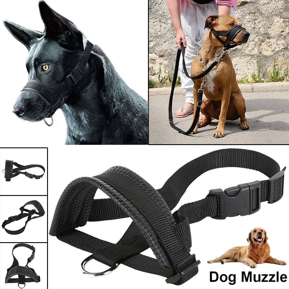 #27 Pet Muzzles Comparison Guide