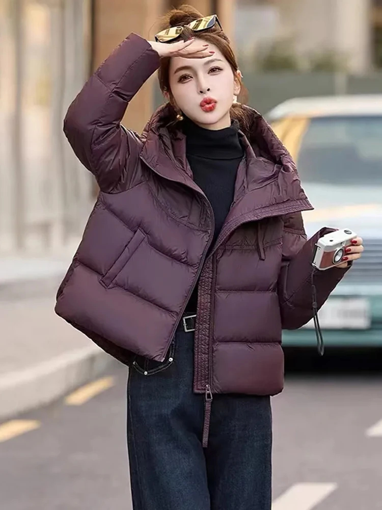 

Женское зимнее хлопковое пальто с капюшоном, новинка 202, свободное теплое хлопковое пальто в Корейском стиле, дизайн на молнии