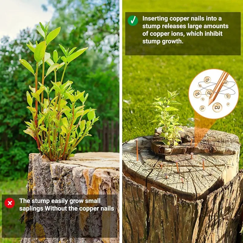 AC62-Copper Nails For Killing Tree Stump Roots, 3.15 Inch Copper Nails With Drill, Stake Removal Nailer For Trees