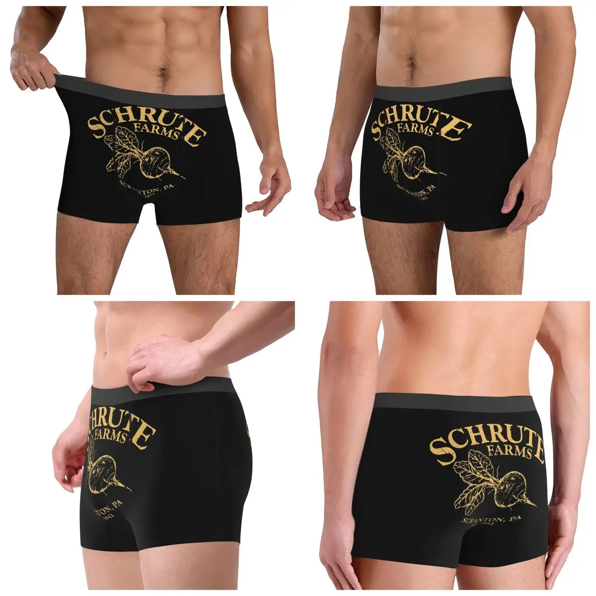 Boxer Underpants Shorts Schrute Farms Panties Men Ventilate Underwear for Homme Man Boyfriend Gift
