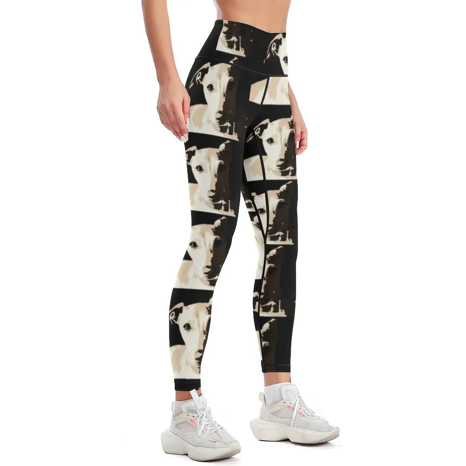 Poster of an Italian Greyhound Portrait Leggings Women's tights Women's fitness Womens Leggings