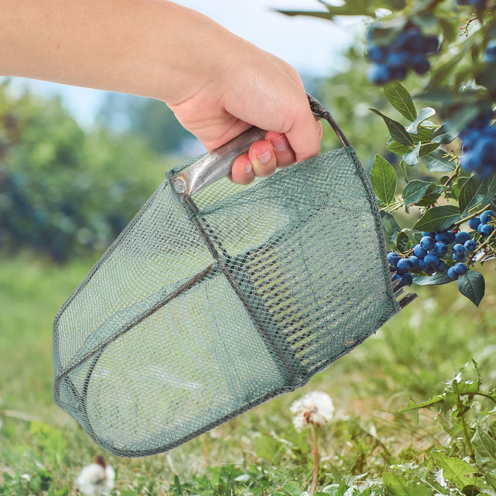 

Portable Blueberry Picker Garden Fruit Picker Cage Foldable Lightweight Outdoor Fruit Basket Tool for Harvest Blueberry Pickers