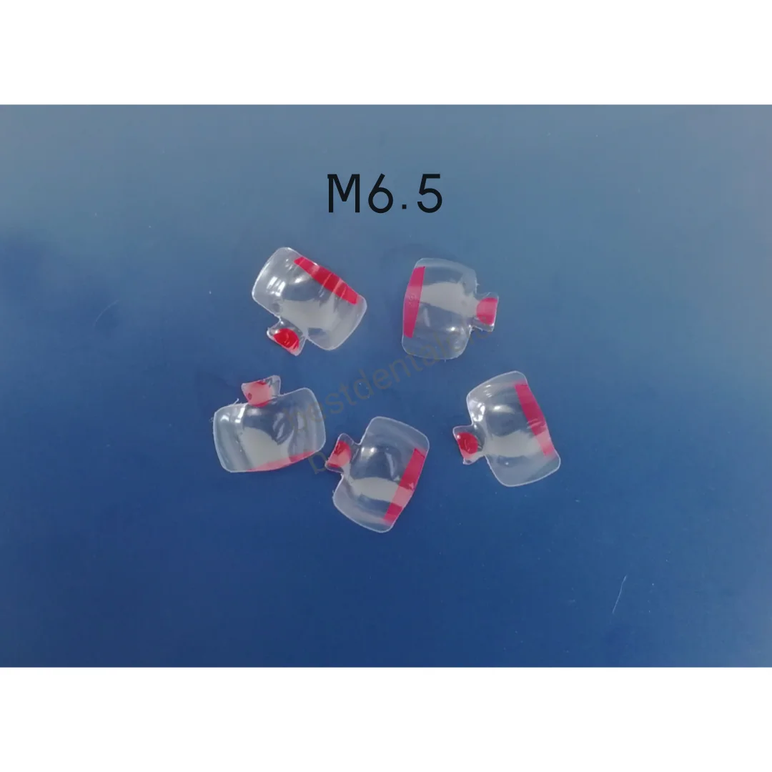 5Pcs Dental Clear Matrix Bands Transparent Posterior Molar Teeth 6.5mm Fits Bioclear BT Tooth Restoration