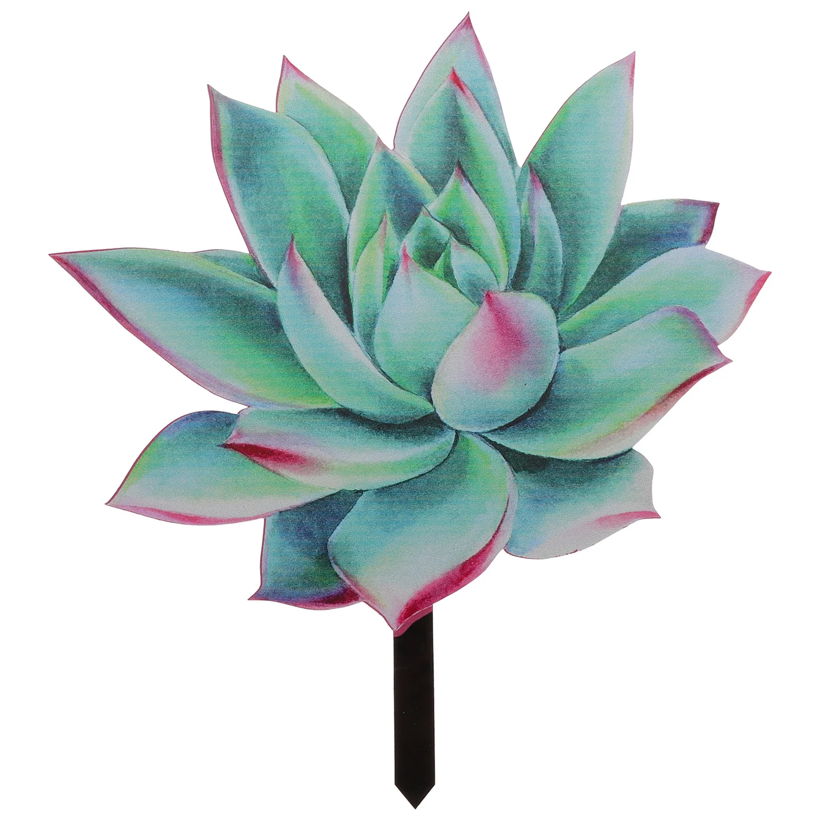 

Acrylic Succulent Yard Plant Stake Durable Outdoor Lawn Sign Decorative Succulent Garden Ornament Gardening Decor