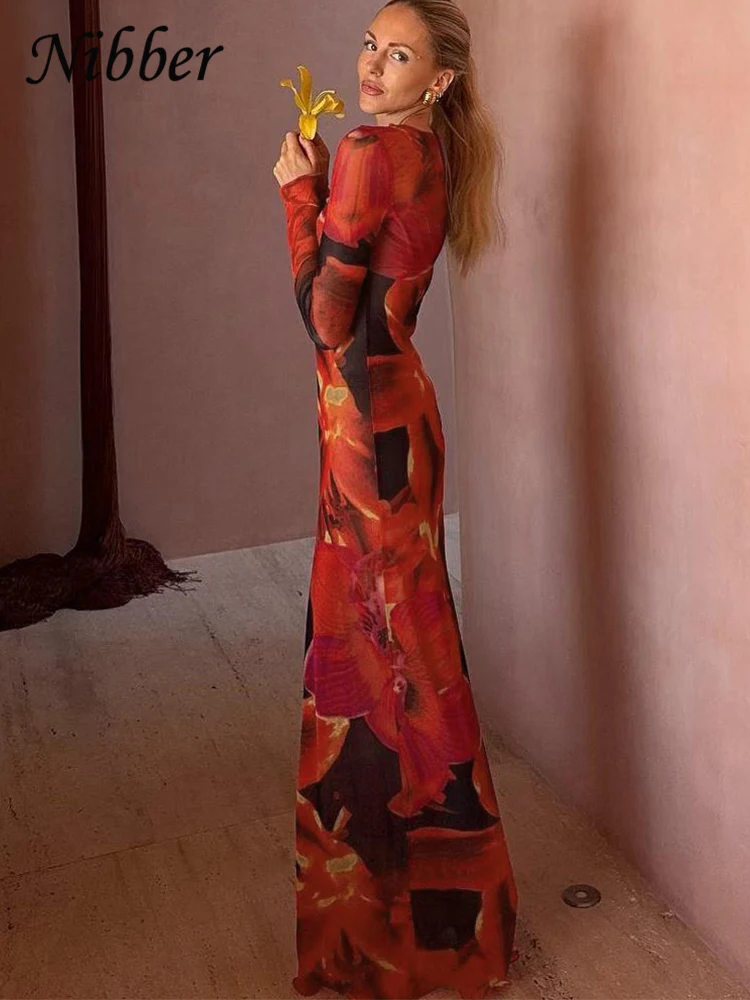 Nibber Colorful Print Dress Women Velvet See Through Skinny Full Sleeve Lace Hem Autumn Trend Stretch Casual Basic Long Bodycon