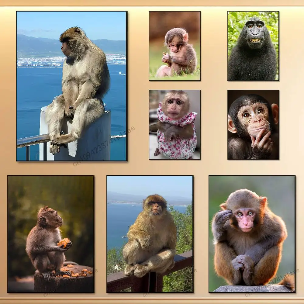 

Funny Art Monkey Emoticons Poster Wall Aesthetic HD Art Sticky Decoration Waterproof Home Living Room Bedroom Bar