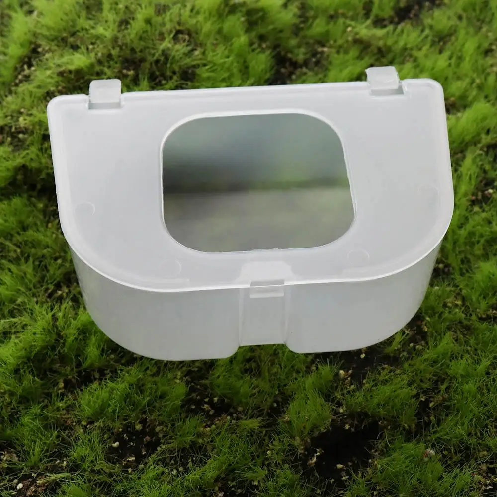 Transparent Pigeon Anti Scattering Food Box Plastic Anti-splash Carrier Pigeon Food Box Two Hole Large Capacity