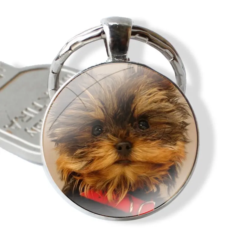 Keychain Glass Cabochon Metal Pendant Classic Men\'s Women\'s Keyring Yorkshire Terrier Puppy Dogs animal