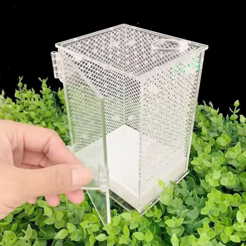 汎用アクリル製カマキリ飼育ケース-昆虫飼育ボックス-テラリウム-換気機能付き-カマキリ、クモ、爬虫類の飼育用