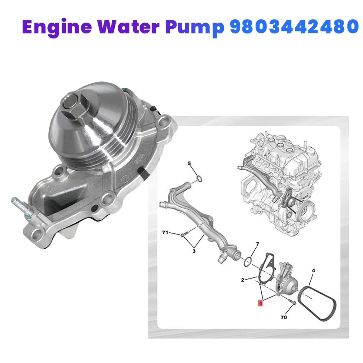 Engine Cooling Water Pump 9803442480 for C3 C 1C4 208 2008 108 1.0 1.2 F20 F30 R55 R56