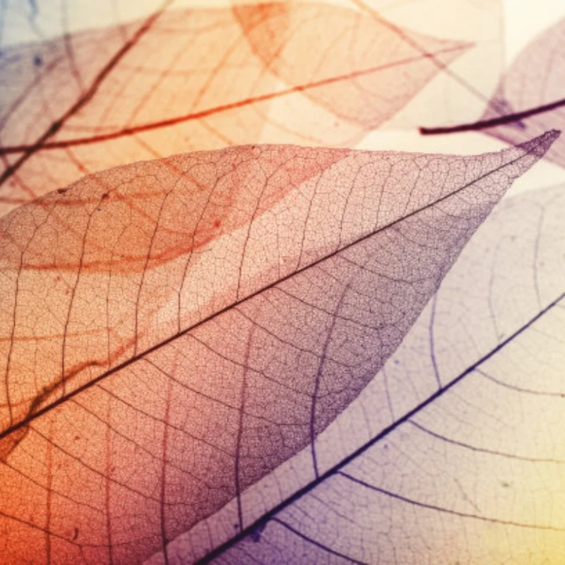 

FOR SCY16101/16102/16103/16201 1/16 High speed R/C cars RC trucks spare parts body shell