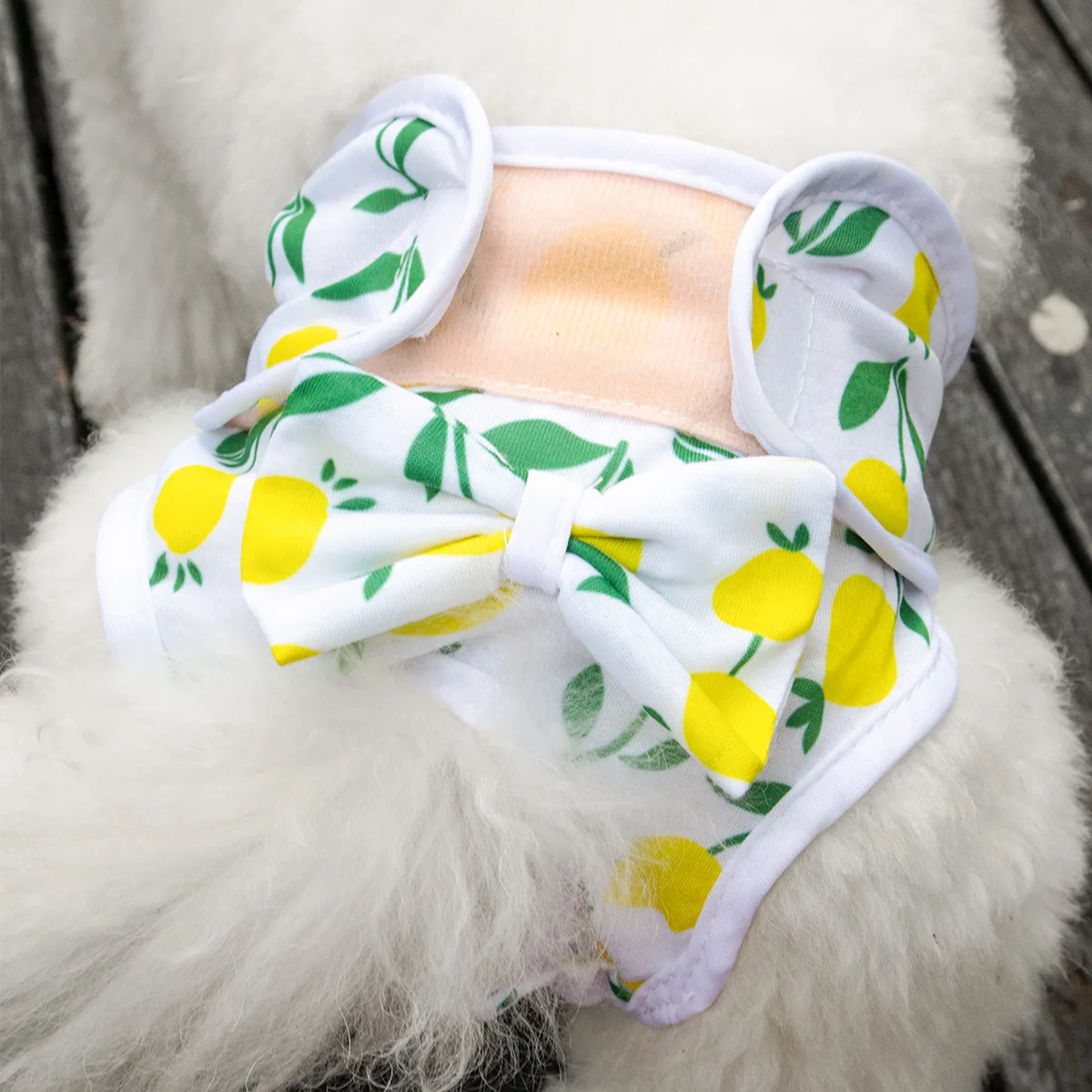 Reusable Female Dogs Diaper Pants Sanitary Female Dog Pants Diapers For Dogs Menstruation Pet Cat Physiological Shorts Girl