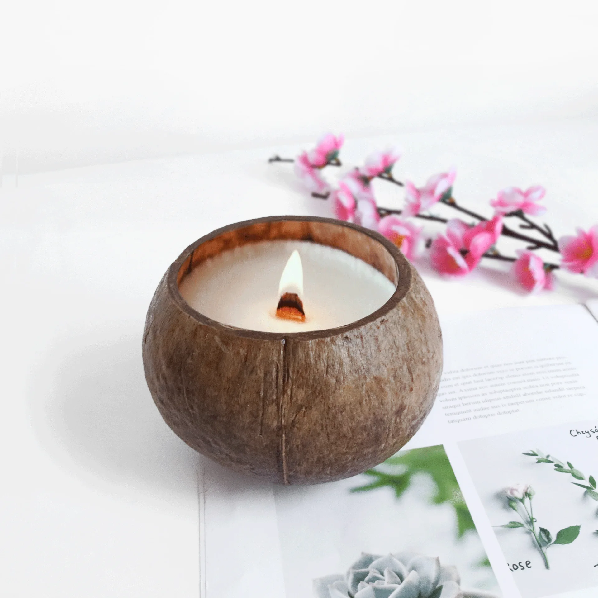 1/2PC Natural Coconut Shell Bowl 3 Sizes Coconut Bowl for Acai Smoothie Salad Fruit Dessert  Reusable Light Food Container