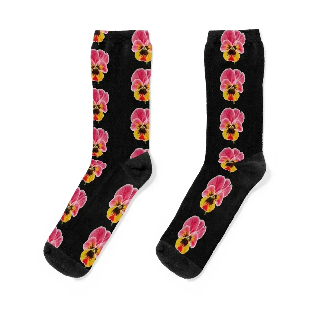 

Pansy Socks anti slip football funny gifts kawaii shoes Boy Socks Women's