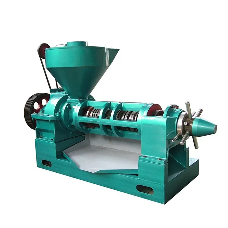 Mini 6yl-95 Peanut Soybean Sunflower Seed Screw Oil Cold Press With Oil Filter Machine